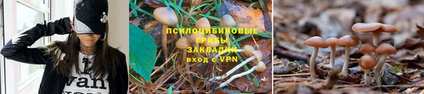 кокаин колумбия Бронницы