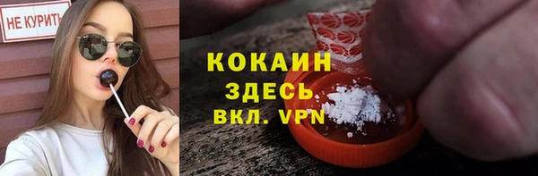 spice Бородино