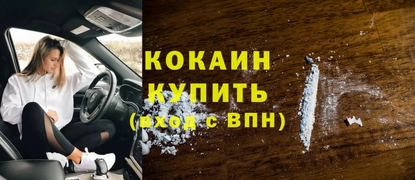 spice Бородино