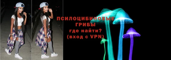 гидра Бугульма