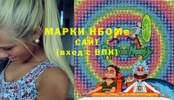 spice Бородино