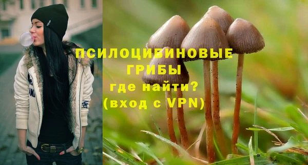 spice Бородино