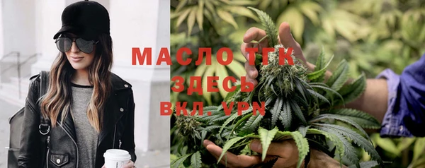 spice Бородино